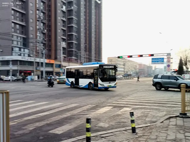 800BUS