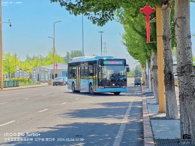 800BUS