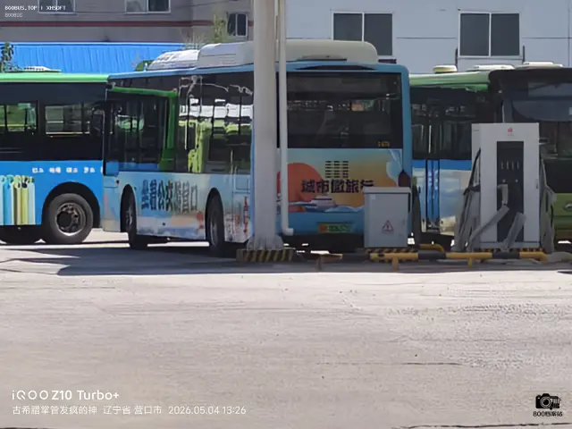 800BUS