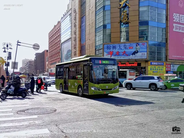 辽C 08115D