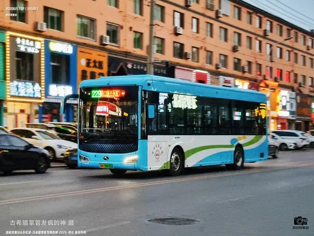 800BUS