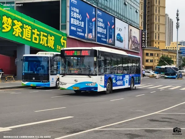 800BUS