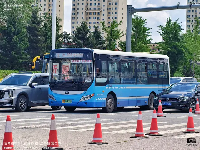 800BUS