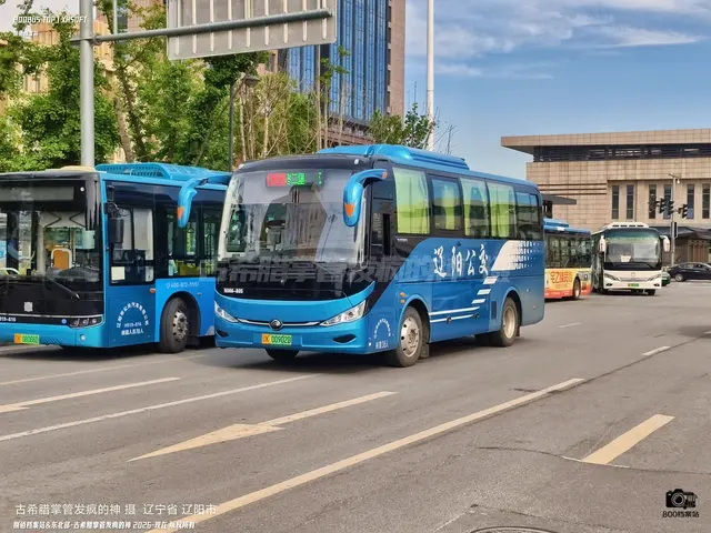 800BUS