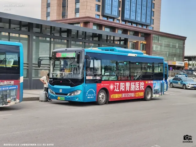 800BUS
