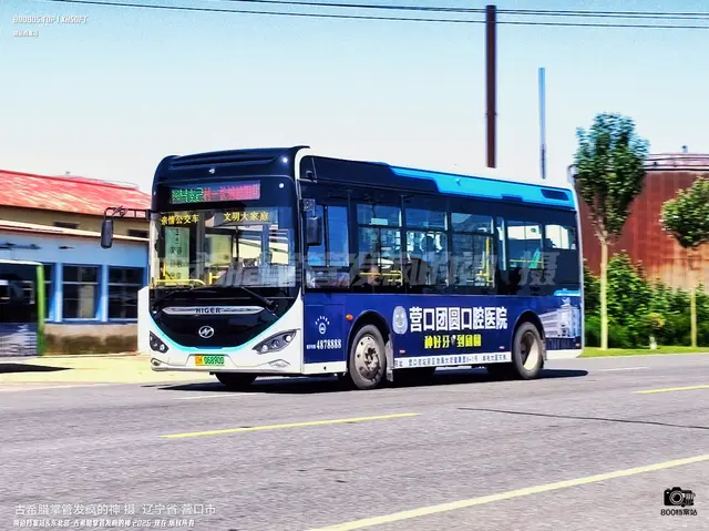 800BUS