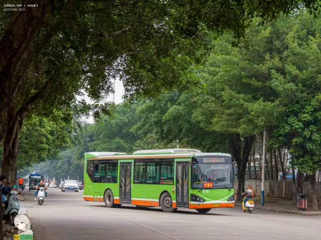 800BUS