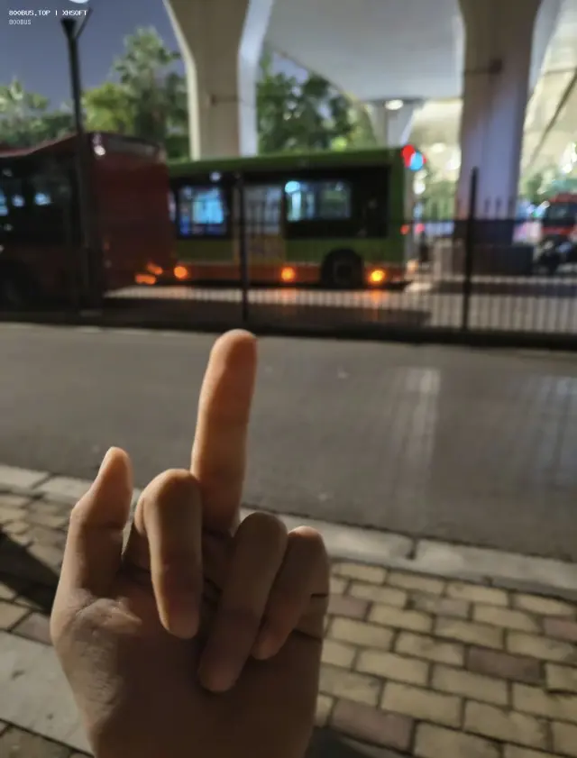 800BUS