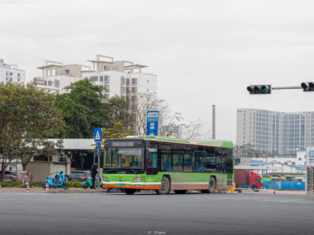 800BUS