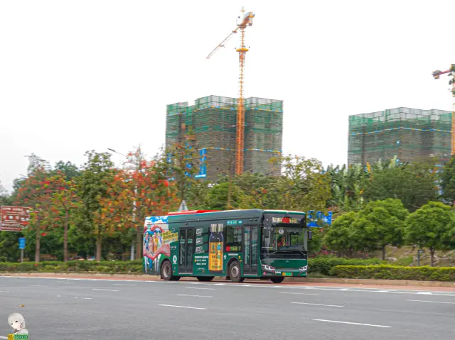 桂A 08965D