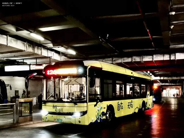 800BUS