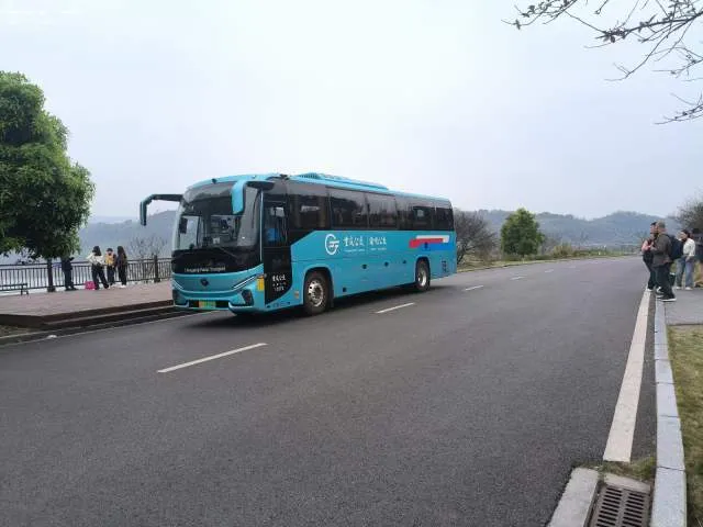 渝A16936D