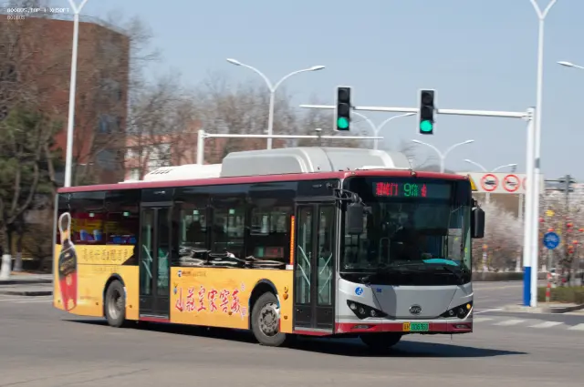 800BUS