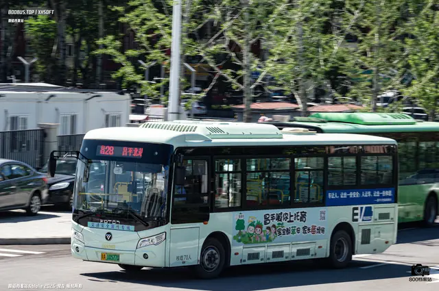 800BUS