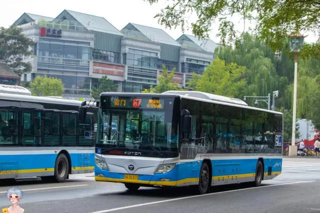 800BUS