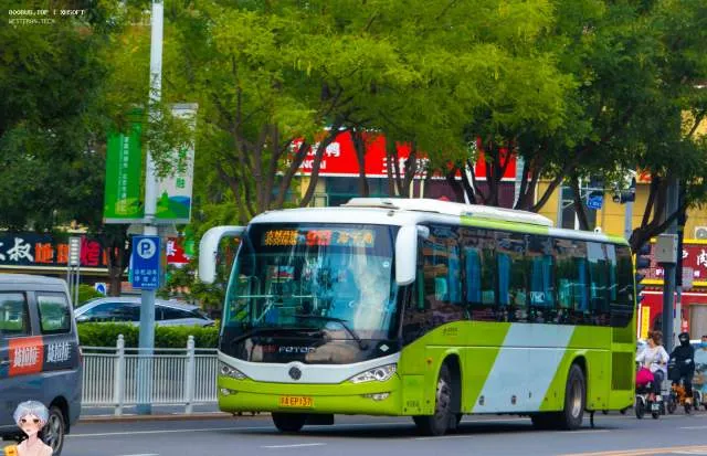 800BUS