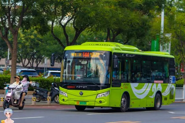 800BUS