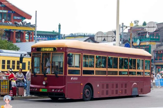 800BUS