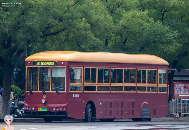 800BUS