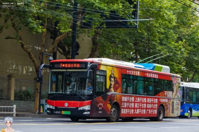 800BUS