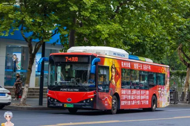 800BUS