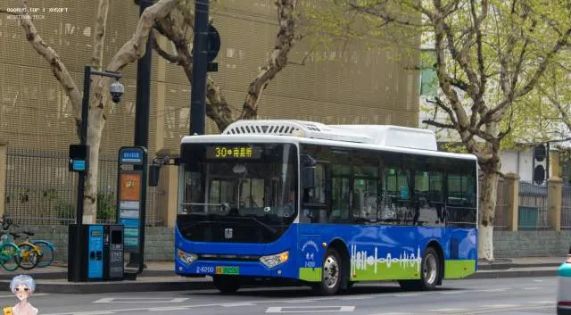 800BUS