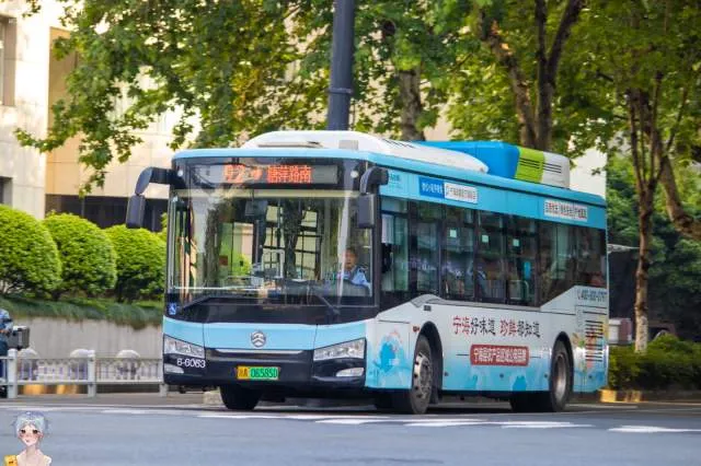 800BUS
