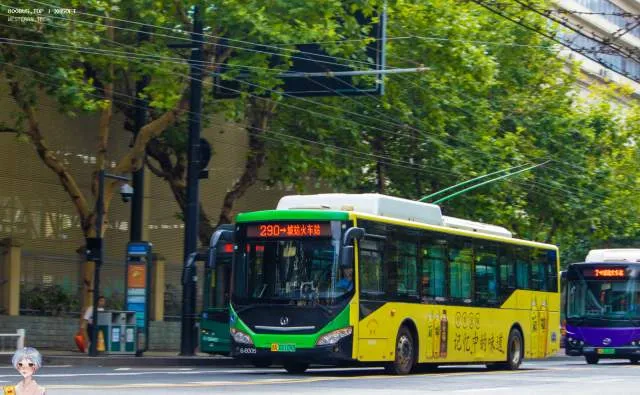 800BUS