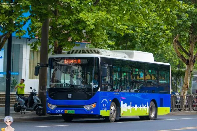 800BUS