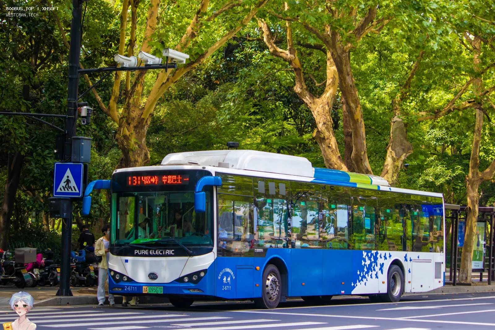 Bus Archive