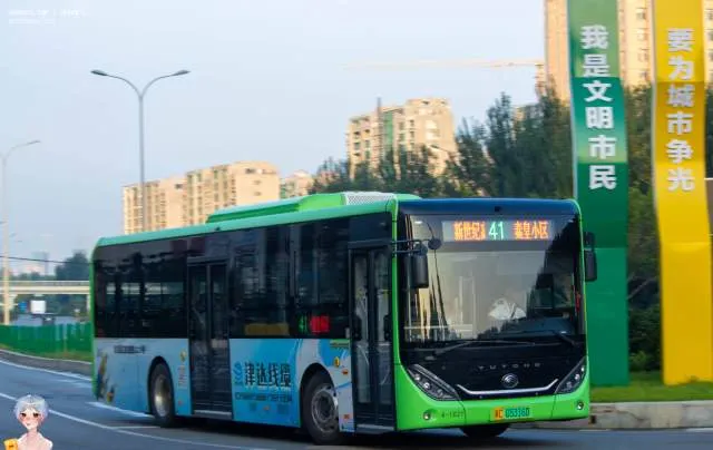 冀C 05316D