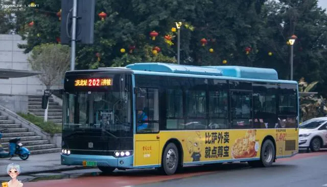 渝A 17713D