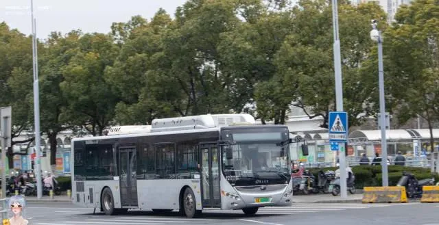 苏E 00080F