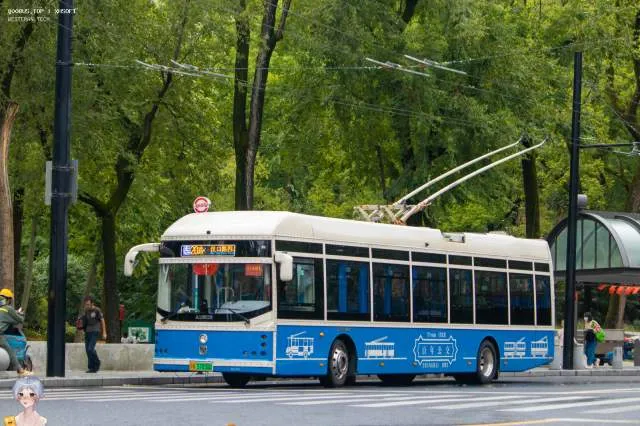 800BUS