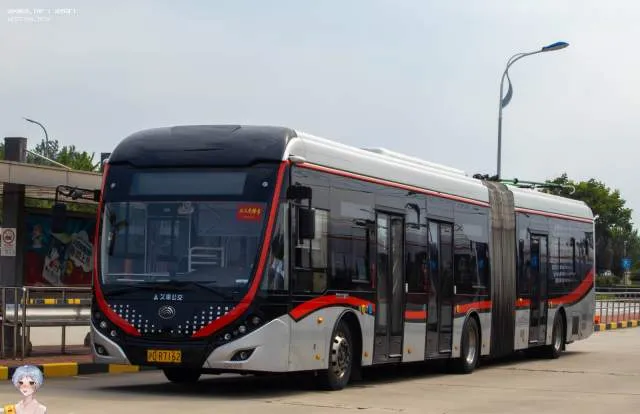 800BUS
