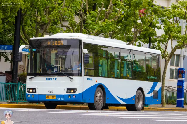 800BUS