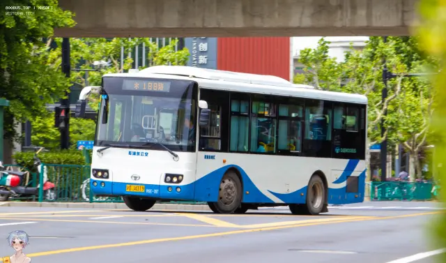 800BUS