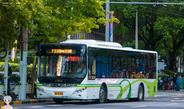800BUS