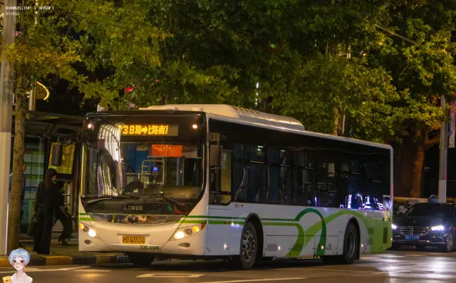 800BUS