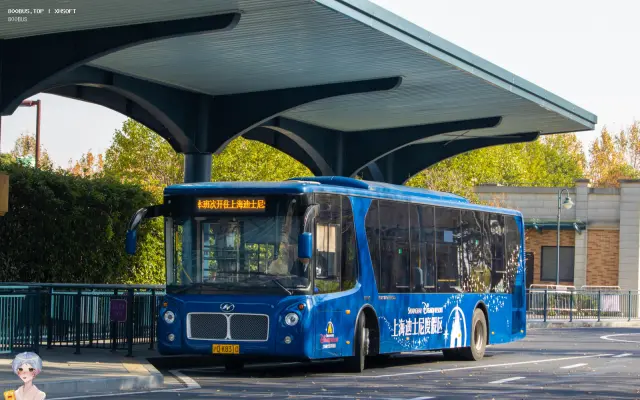 800BUS