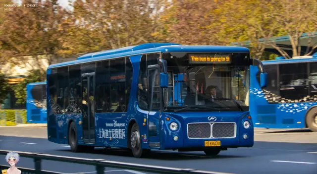 800BUS