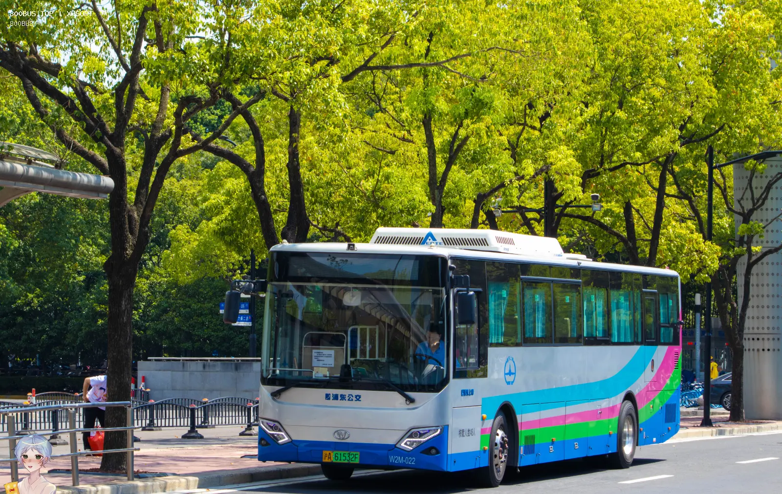 Bus Archive