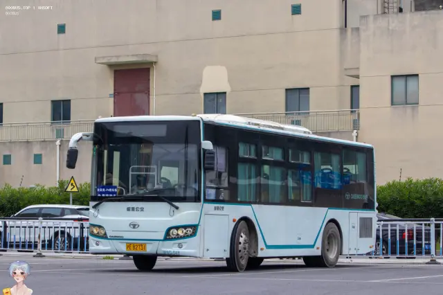 800BUS