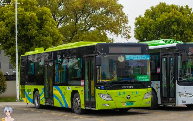 800BUS