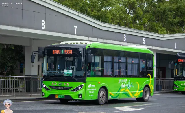 800BUS