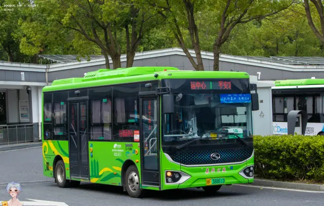 800BUS