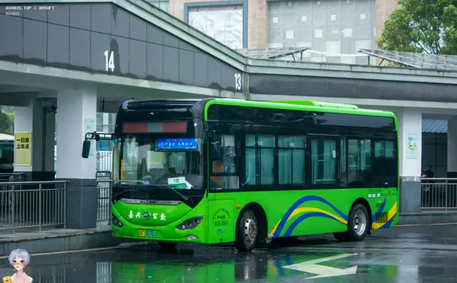 800BUS