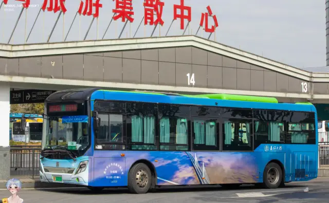 800BUS