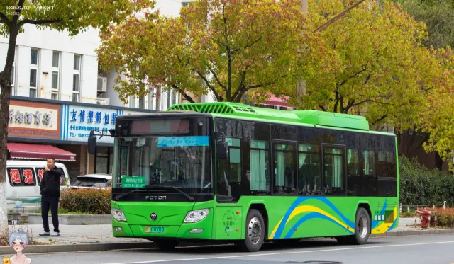 800BUS