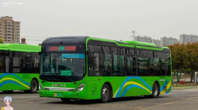 800BUS